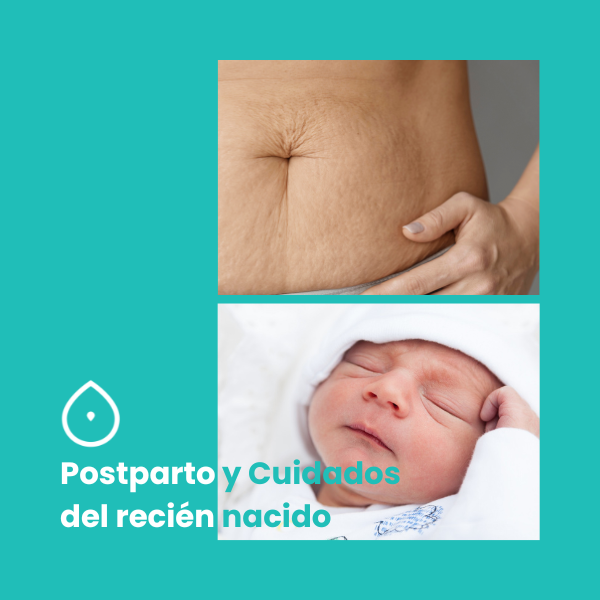 Curso online cuidados en el postparto y cuidados del recién nacido