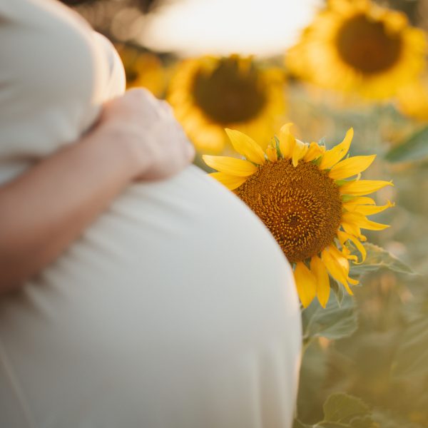 Escuela maternal embarazo la madre que te pario